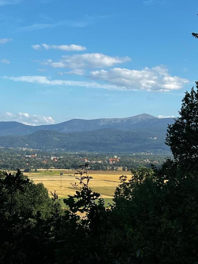 Apartment Sunny Bear Jelenia Gora