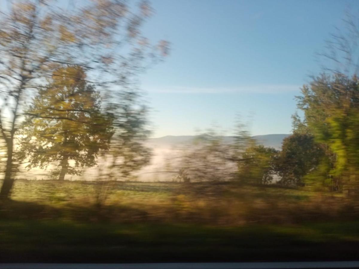 Sunny Bear Jelenia Gora